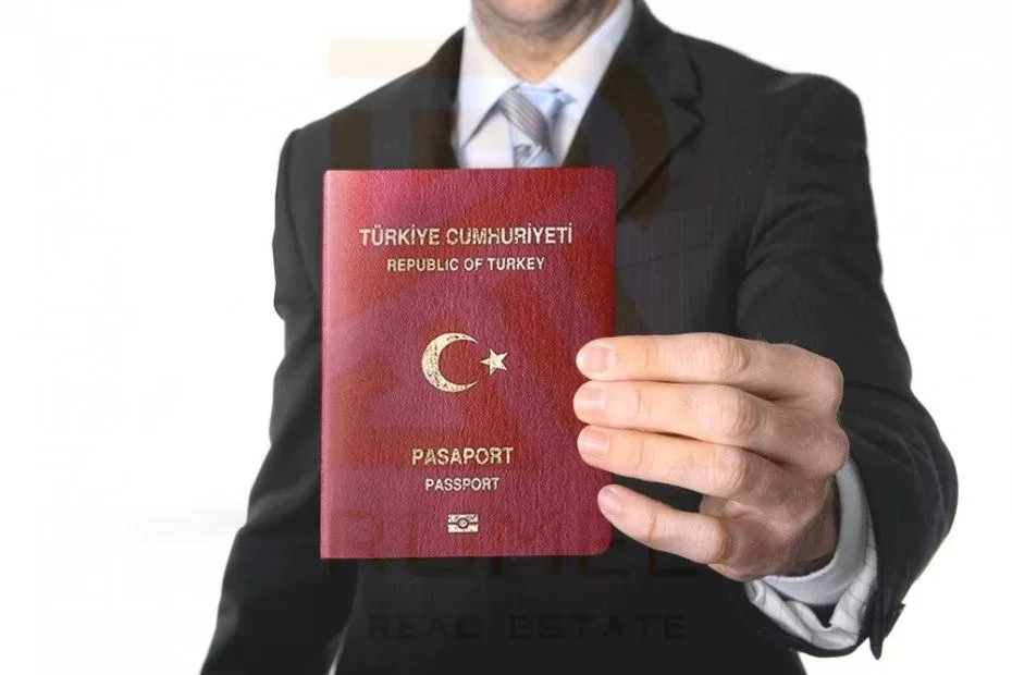grant turkish citizenship